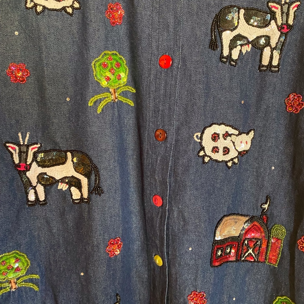 The Quacker Factory Woman’s Denim Shirt (S)